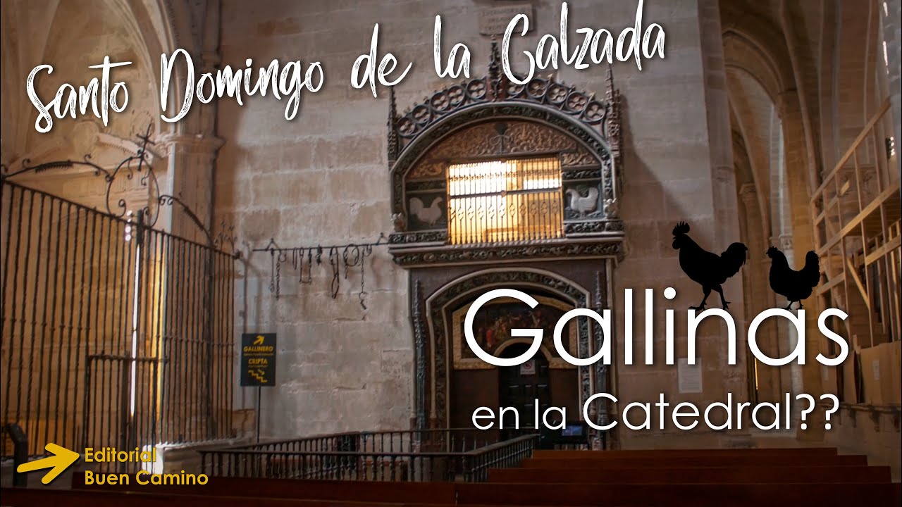 Explora los imprescindibles cerca de Santo Domingo de la Calzada
