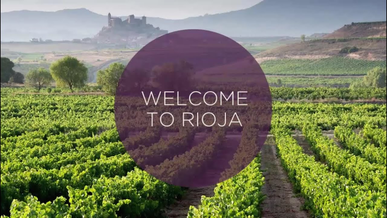 Guía rápida para encontrar un taxi en La Rioja: consejos y recomendaciones