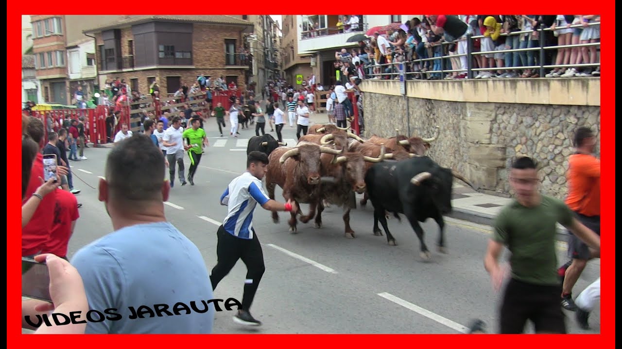La tradición de los toros en Alfaro: historia y cultura